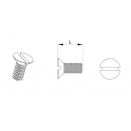 Vite M6 x 10 mm DIN963 di plastica, svasata con testa a spacco diam. M6 lunghezza 10 mm