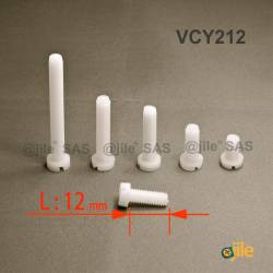 M2,5 x 12 DIN84 : Round plastic slotted screw: diam. M2,5  length 12 mm - Ajile 3