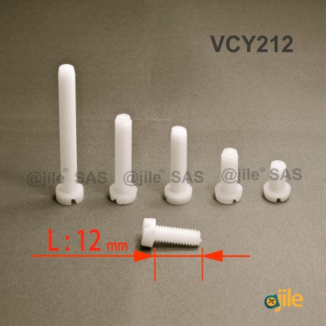 M2,5 x 12 DIN84 : Round plastic slotted screw: diam. M2,5  length 12 mm - Ajile