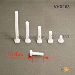 M2 x 8 DIN933 : Plastic hex. Bolt for 4 mm wrench: diam. M2  length 8 mm - Ajile 4