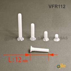 M2 x 12 DIN963 : Slotted plastic countersunk screw: diam. M2  length 12 mm - Ajile 4