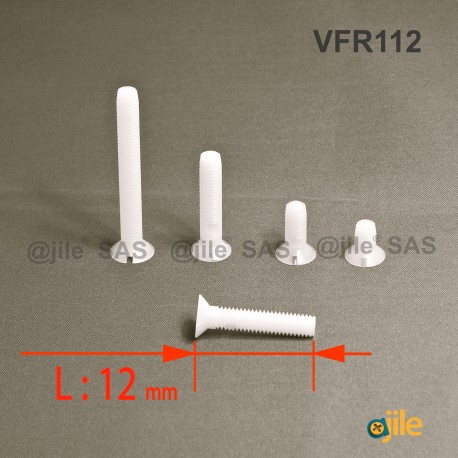 M2 x 12 DIN963 : Slotted plastic countersunk screw: diam. M2  length 12 mm - Ajile