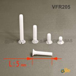 M2,5 x 5 DIN963 : Slotted plastic countersunk screw: diam. M2,5  length 5 mm - Ajile 4