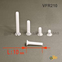 M2,5 x 10 DIN963 : Slotted plastic countersunk screw: diam. M2,5  length 10 mm - Ajile 1