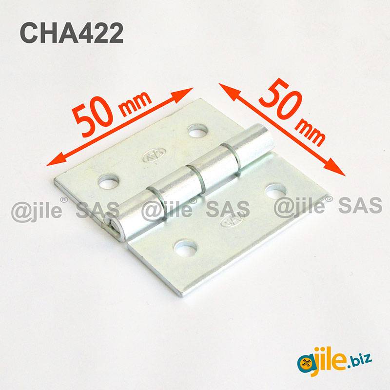 Square 50 x 50 mm Screw-on Zinc-plated Steel Hinge - Ajile