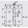 Square 50 x 50 mm Screw-on Zinc-plated Steel Hinge - hinges - door accessories - hook-framing - ajile