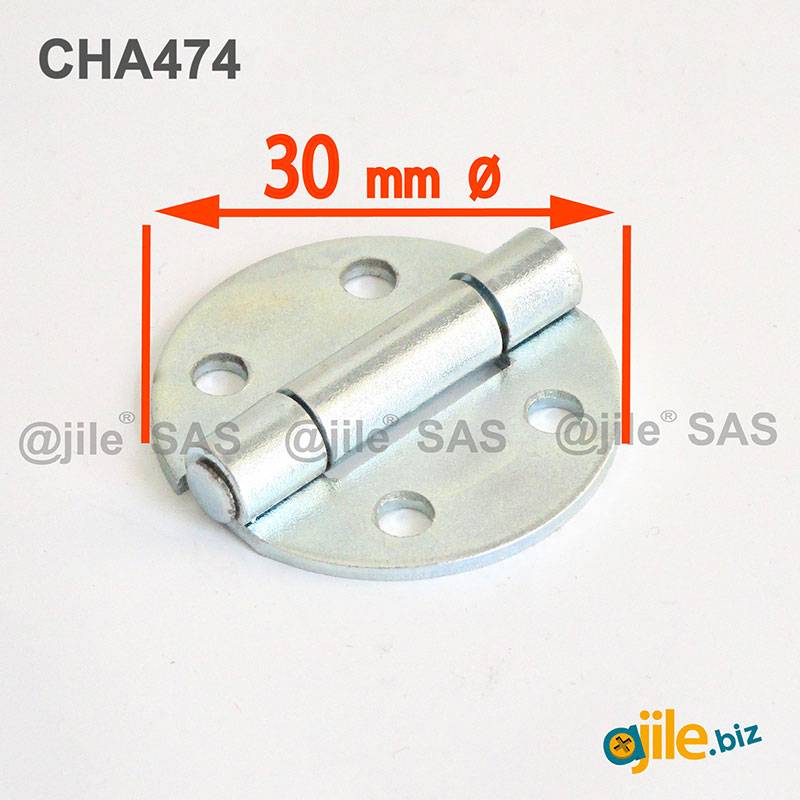 Round 30 mm Diameter Screw-on Zinc-plated Steel Hinge - Ajile