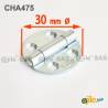 Round 30 mm Diameter Countersunk Screw Zinc-plated Steel Hinge - hinges - door accessories - hook-framing - ajile