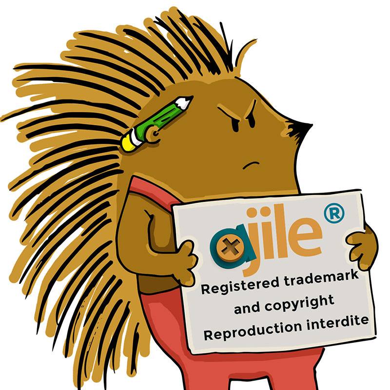 Bouchon Capuchon Obturateur Plastique Rond NOIR pour Trou Alésage Diamètre 13 mm - cache vis-finition - ajile