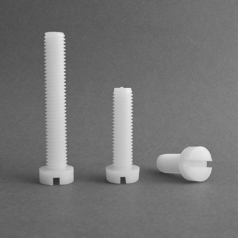 M10 Round Slotted Screw